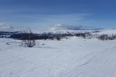 20170407_103612